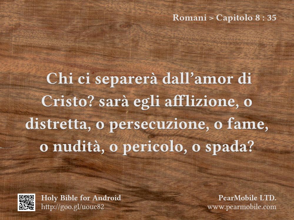 Romani, Capitolo 8:35